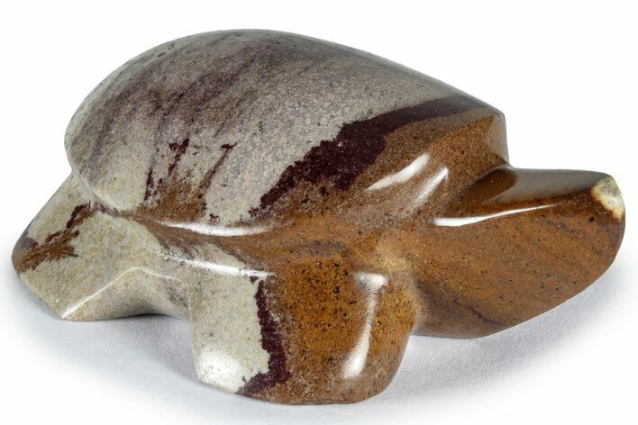 Polished Picture Stone Turtle - Arizona #309073